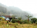 Dzongu homestay