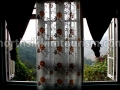 kabi-homestay_view.jpg