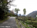 lachung-village.jpg