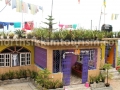 tinchim-homestay.jpg