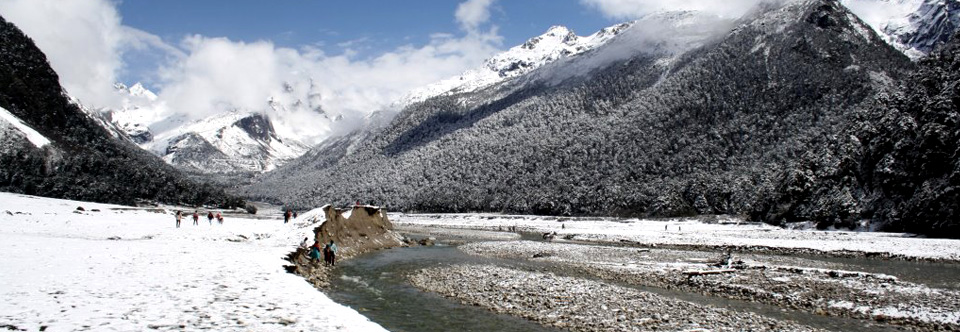 Yumthang Valley