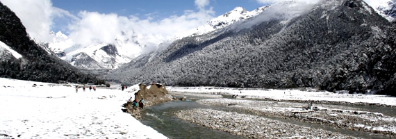 yumthang-header