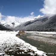 Yumthang Valley